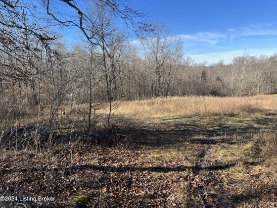 00 Olaton Rd, Falls Of Rough, Kentucky 40119, ,Land,For Sale,Olaton,1652628