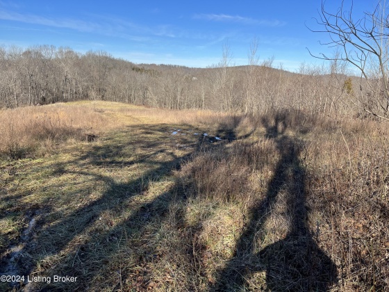 00 Olaton Rd, Falls Of Rough, Kentucky 40119, ,Land,For Sale,Olaton,1652628