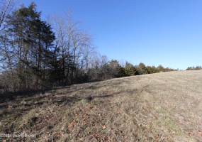 Tract 1 Pumphouse Rd, Lawrenceburg, Kentucky 40342, ,Land,For Sale,Pumphouse,1652633