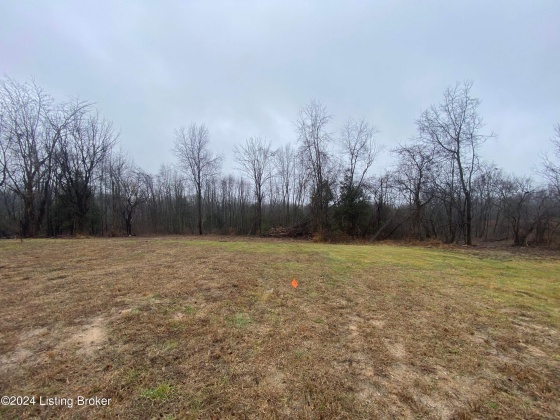 779 Tindale Dr, Taylorsville, Kentucky 40071, ,Land,For Sale,Tindale,1652643