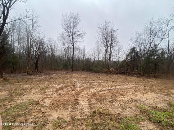 779 Tindale Dr, Taylorsville, Kentucky 40071, ,Land,For Sale,Tindale,1652643