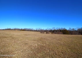 6686 Hempridge Rd, Shelbyville, Kentucky 40065, ,Land,For Sale,Hempridge,1652728