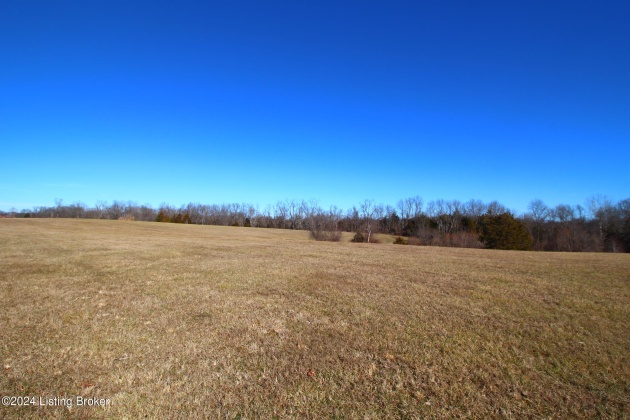 6686 Hempridge Rd, Shelbyville, Kentucky 40065, ,Land,For Sale,Hempridge,1652728