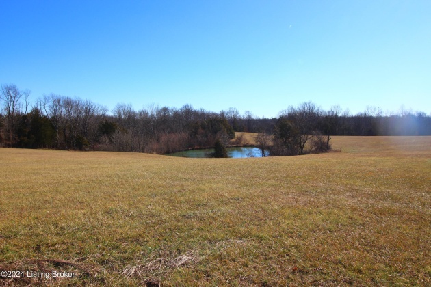 6686 Hempridge Rd, Shelbyville, Kentucky 40065, ,Land,For Sale,Hempridge,1652728