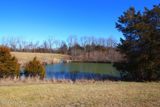 6686 Hempridge Rd, Shelbyville, Kentucky 40065, ,Land,For Sale,Hempridge,1652728