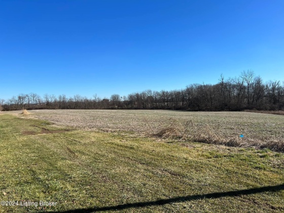 382 Eddie Ln, Shelbyville, Kentucky 40065, ,Land,For Sale,Eddie,1652729