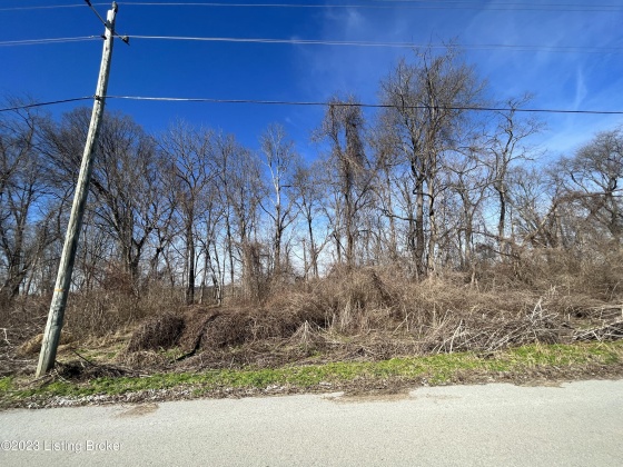 14&15 Meadow Lark Ln, Warsaw, Kentucky 41095, ,Land,For Sale,Meadow Lark,1652822