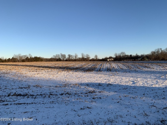 7067 Loretto Rd, Bardstown, Kentucky 40004, ,Land,For Sale,Loretto,1652956