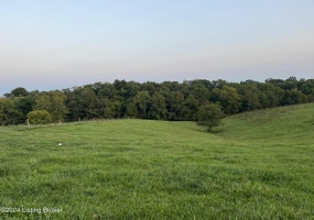 0 Chaplin Rd, Willisburg, Kentucky 40078, ,Land,For Sale,Chaplin,1653209