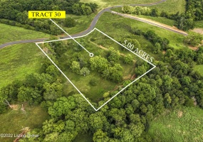 Tract 30 Petie Ln, Shelbyville, Kentucky 40065, ,Land,For Sale,Petie,1653213