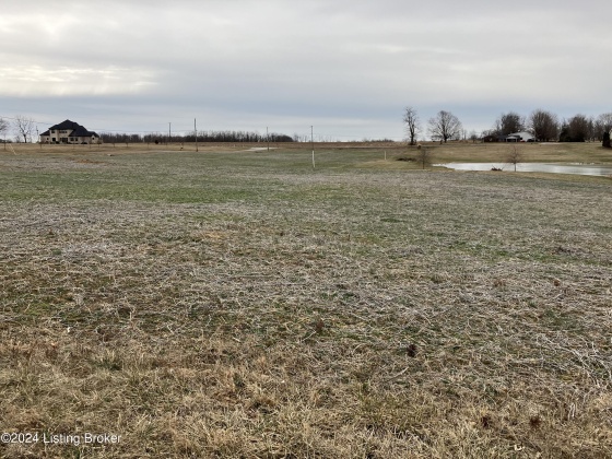 34 Locust Grove, Bedford, Kentucky 40006, ,Land,For Sale,Locust Grove,1653214