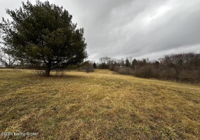 177 Martin Ln, Taylorsville, Kentucky 40071, ,Land,For Sale,Martin,1653245