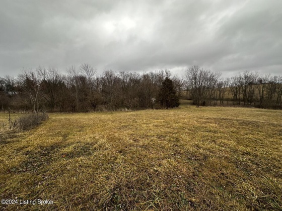 177 Martin Ln, Taylorsville, Kentucky 40071, ,Land,For Sale,Martin,1653245