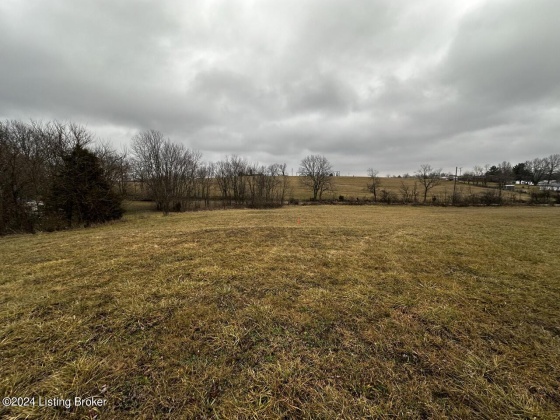 177 Martin Ln, Taylorsville, Kentucky 40071, ,Land,For Sale,Martin,1653245