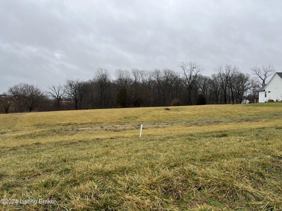 1021 Cordy Ln, Lawrenceburg, Kentucky 40342, ,Land,For Sale,Cordy,1653310