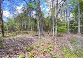 Lot 16 Eveleigh Development, Leitchfield, Kentucky 42754, ,Land,For Sale,Eveleigh Development,1629229