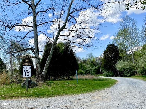 Lot 16 Eveleigh Development, Leitchfield, Kentucky 42754, ,Land,For Sale,Eveleigh Development,1629229