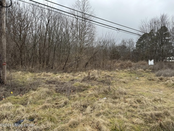 0 S Dixie Blvd, Radcliff, Kentucky 40160, ,Land,For Sale,S Dixie,1653527