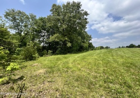 1449 Hansborough Rd Rd, Frankfort, Kentucky 40601, ,Land,For Sale,Hansborough Rd,1653884