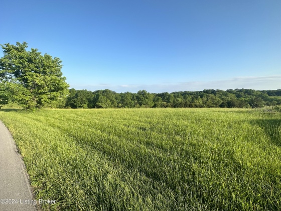 1449 Hansborough Rd Rd, Frankfort, Kentucky 40601, ,Land,For Sale,Hansborough Rd,1653884