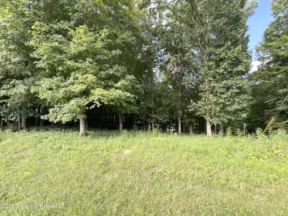 93, 94, 95, 9 Park Cir, New Haven, Kentucky 40051, ,Land,For Sale,Park,1653970