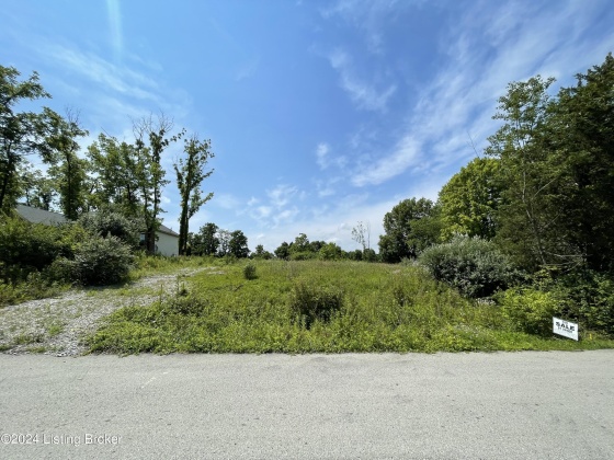 3903 Chasewood Dr, Crestwood, Kentucky 40014, ,Land,For Sale,Chasewood,1654055