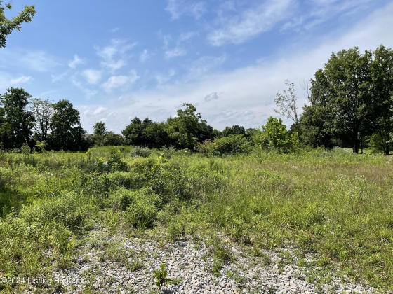 3903 Chasewood Dr, Crestwood, Kentucky 40014, ,Land,For Sale,Chasewood,1654055