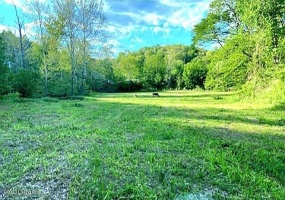 886 Norman Rd, Beattyville, Kentucky 41311, ,Land,For Sale,Norman,1649405