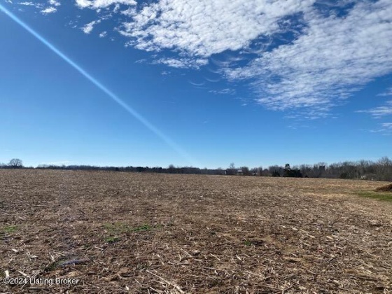 5400 Block of Springfield Rd, Bardstown, Kentucky 40004, ,Land,For Sale,Block of Springfield,1654129