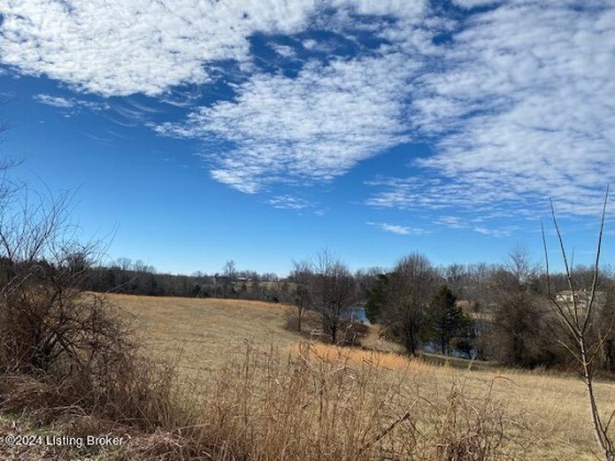 5400 Block of Springfield Rd, Bardstown, Kentucky 40004, ,Land,For Sale,Block of Springfield,1654129