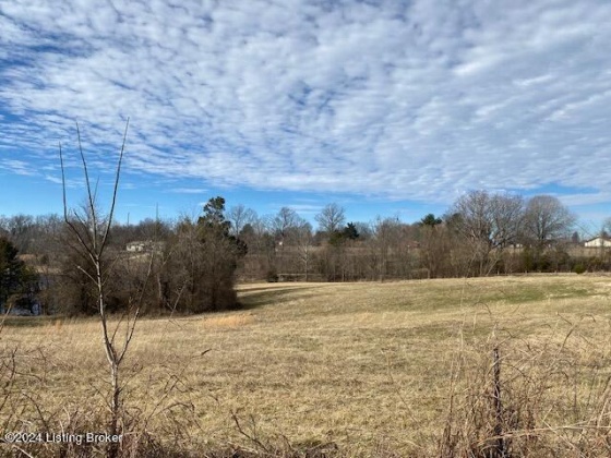 5400 Block of Springfield Rd, Bardstown, Kentucky 40004, ,Land,For Sale,Block of Springfield,1654129