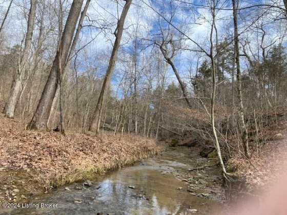 5400 Block of Springfield Rd, Bardstown, Kentucky 40004, ,Land,For Sale,Block of Springfield,1654129