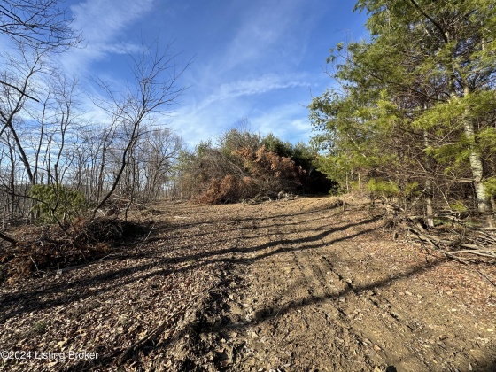 00 Clayton Dr, Wallingford, Kentucky 41093, ,Land,For Sale,Clayton,1654122