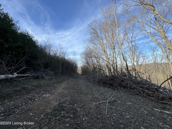 00 Clayton Dr, Wallingford, Kentucky 41093, ,Land,For Sale,Clayton,1654122