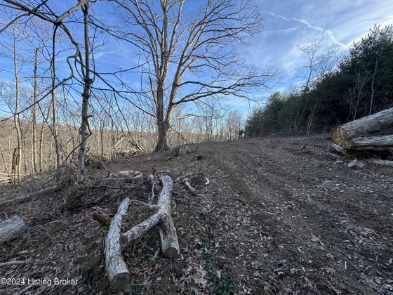 00 Clayton Dr, Wallingford, Kentucky 41093, ,Land,For Sale,Clayton,1654122