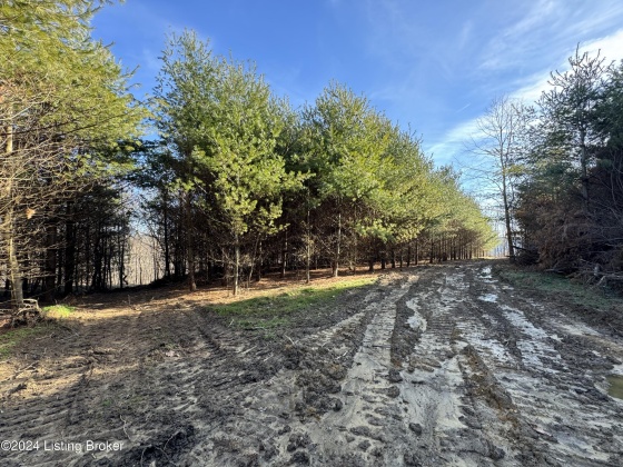 00 Clayton Dr, Wallingford, Kentucky 41093, ,Land,For Sale,Clayton,1654122