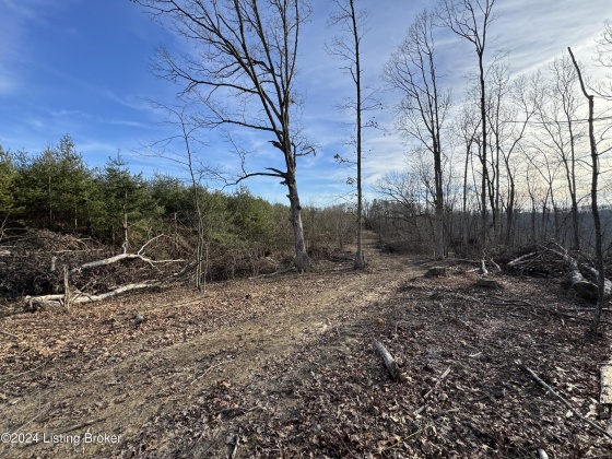 00 Clayton Dr, Wallingford, Kentucky 41093, ,Land,For Sale,Clayton,1654122