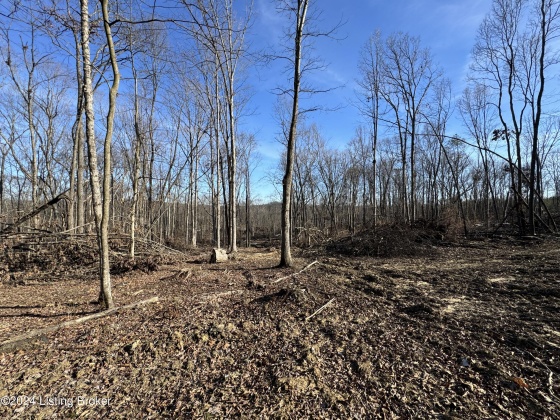 00 Clayton Dr, Wallingford, Kentucky 41093, ,Land,For Sale,Clayton,1654122