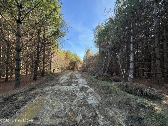 00 Clayton Dr, Wallingford, Kentucky 41093, ,Land,For Sale,Clayton,1654122