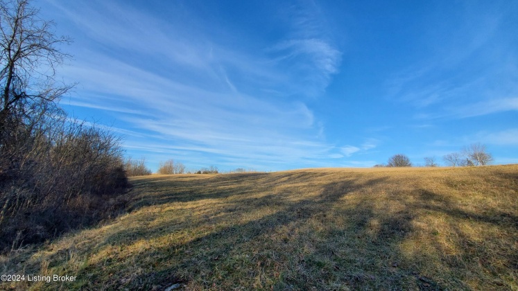 3755 Little Mount Rd, Taylorsville, Kentucky 40071, ,Land,For Sale,Little Mount,1654142