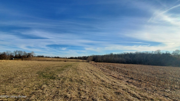 3755 Little Mount Rd, Taylorsville, Kentucky 40071, ,Land,For Sale,Little Mount,1654142