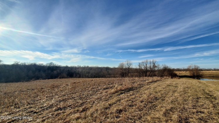 3755 Little Mount Rd, Taylorsville, Kentucky 40071, ,Land,For Sale,Little Mount,1654142