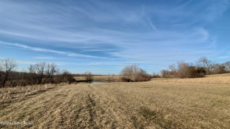 3755 Little Mount Rd, Taylorsville, Kentucky 40071, ,Land,For Sale,Little Mount,1654142