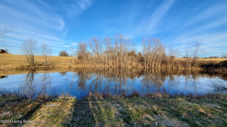 3755 Little Mount Rd, Taylorsville, Kentucky 40071, ,Land,For Sale,Little Mount,1654142