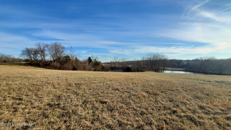 3755 Little Mount Rd, Taylorsville, Kentucky 40071, ,Land,For Sale,Little Mount,1654142