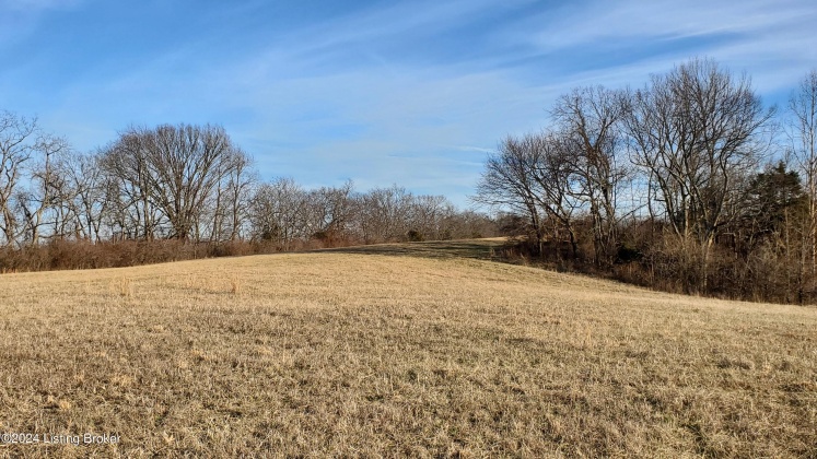 3755 Little Mount Rd, Taylorsville, Kentucky 40071, ,Land,For Sale,Little Mount,1654142