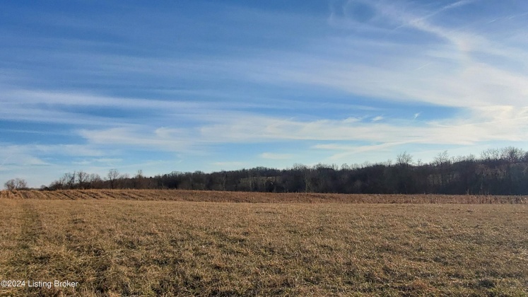 3755 Little Mount Rd, Taylorsville, Kentucky 40071, ,Land,For Sale,Little Mount,1654142