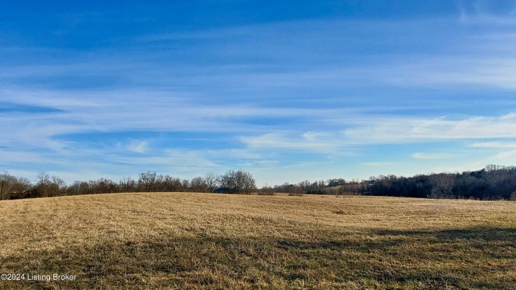 3755 Little Mount Rd, Taylorsville, Kentucky 40071, ,Land,For Sale,Little Mount,1654142