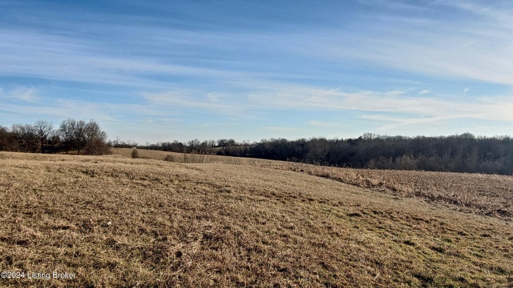 3755 Little Mount Rd, Taylorsville, Kentucky 40071, ,Land,For Sale,Little Mount,1654142