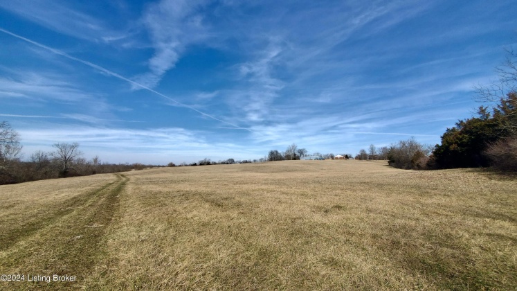 3755 Little Mount Rd, Taylorsville, Kentucky 40071, ,Land,For Sale,Little Mount,1654142